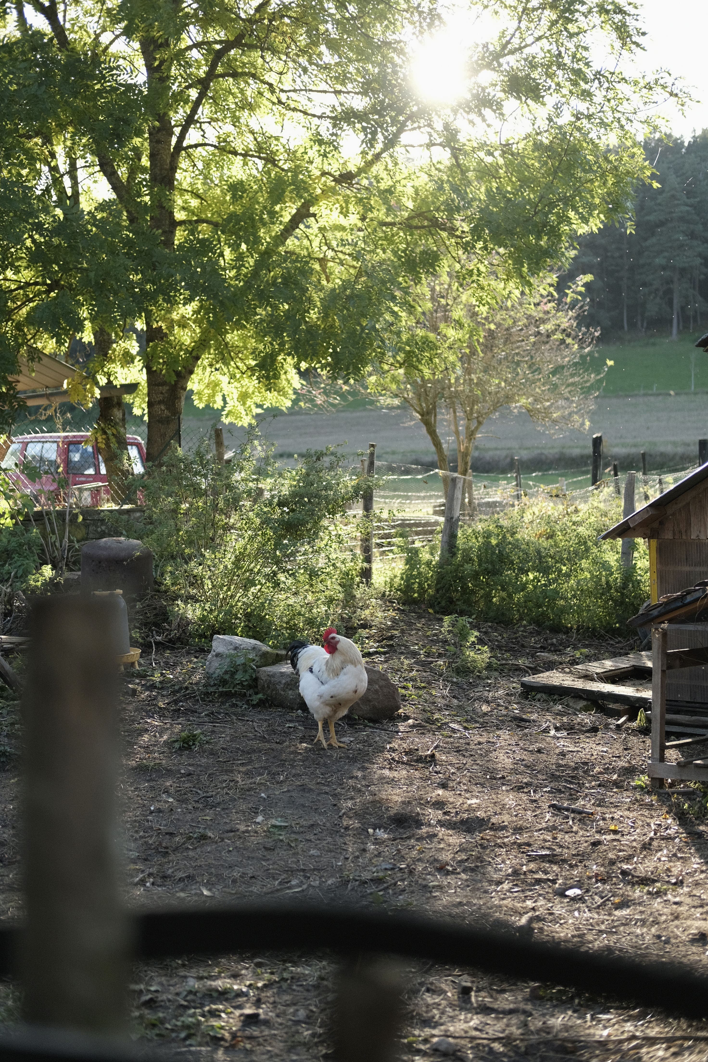 Vue du gîte 13