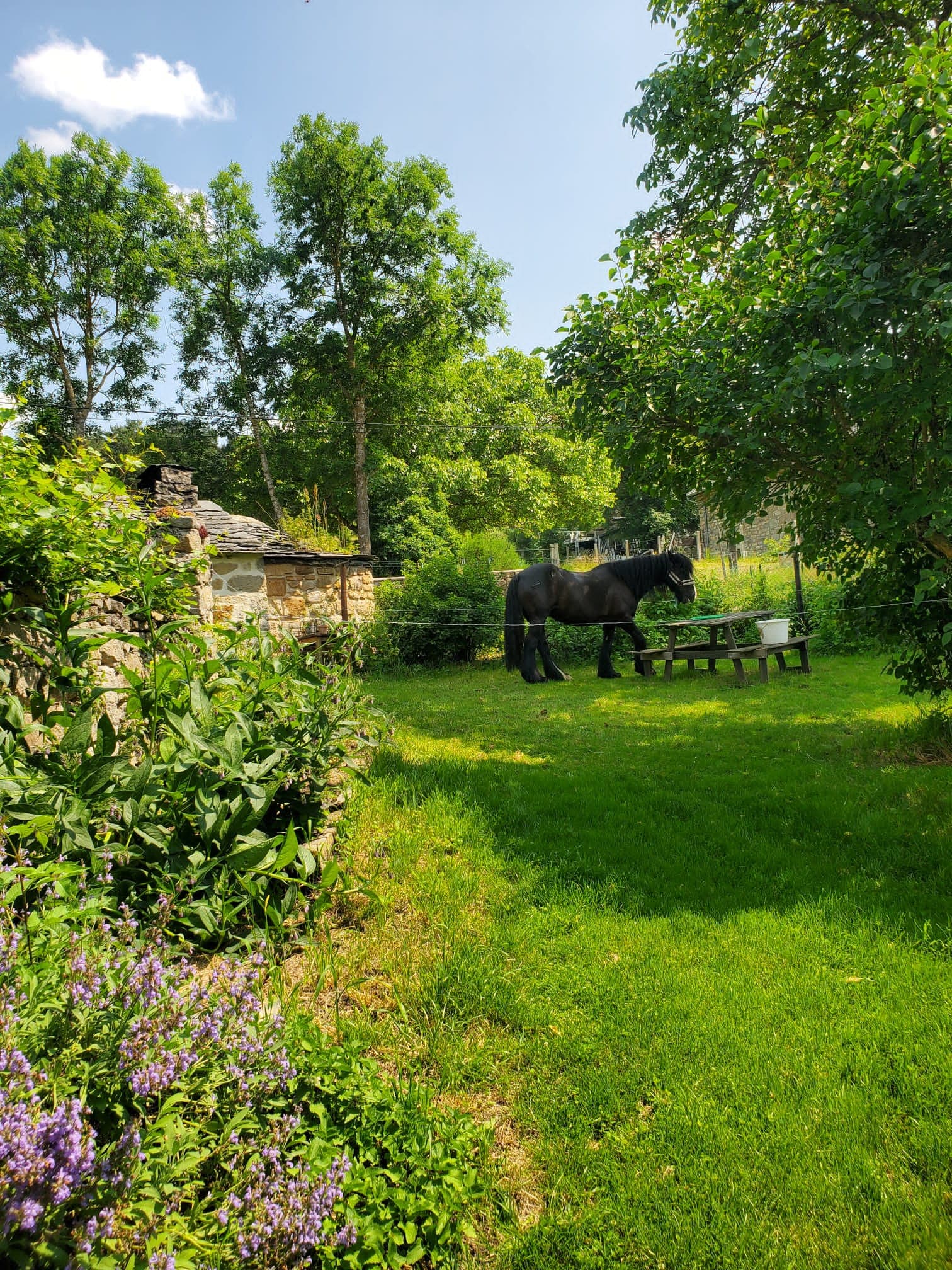 Vue du gîte 5