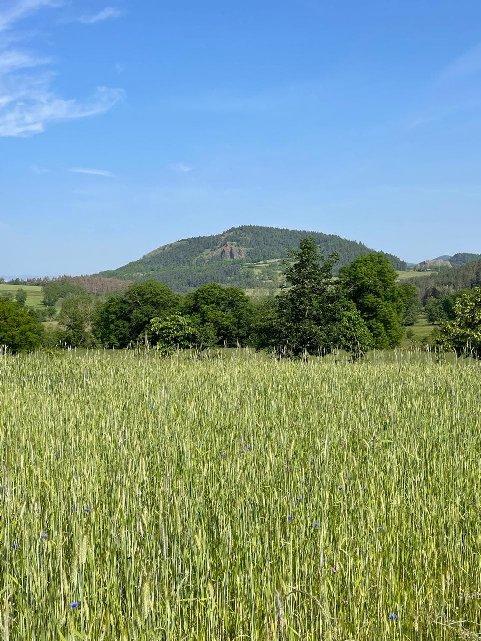 Vue du gîte 11