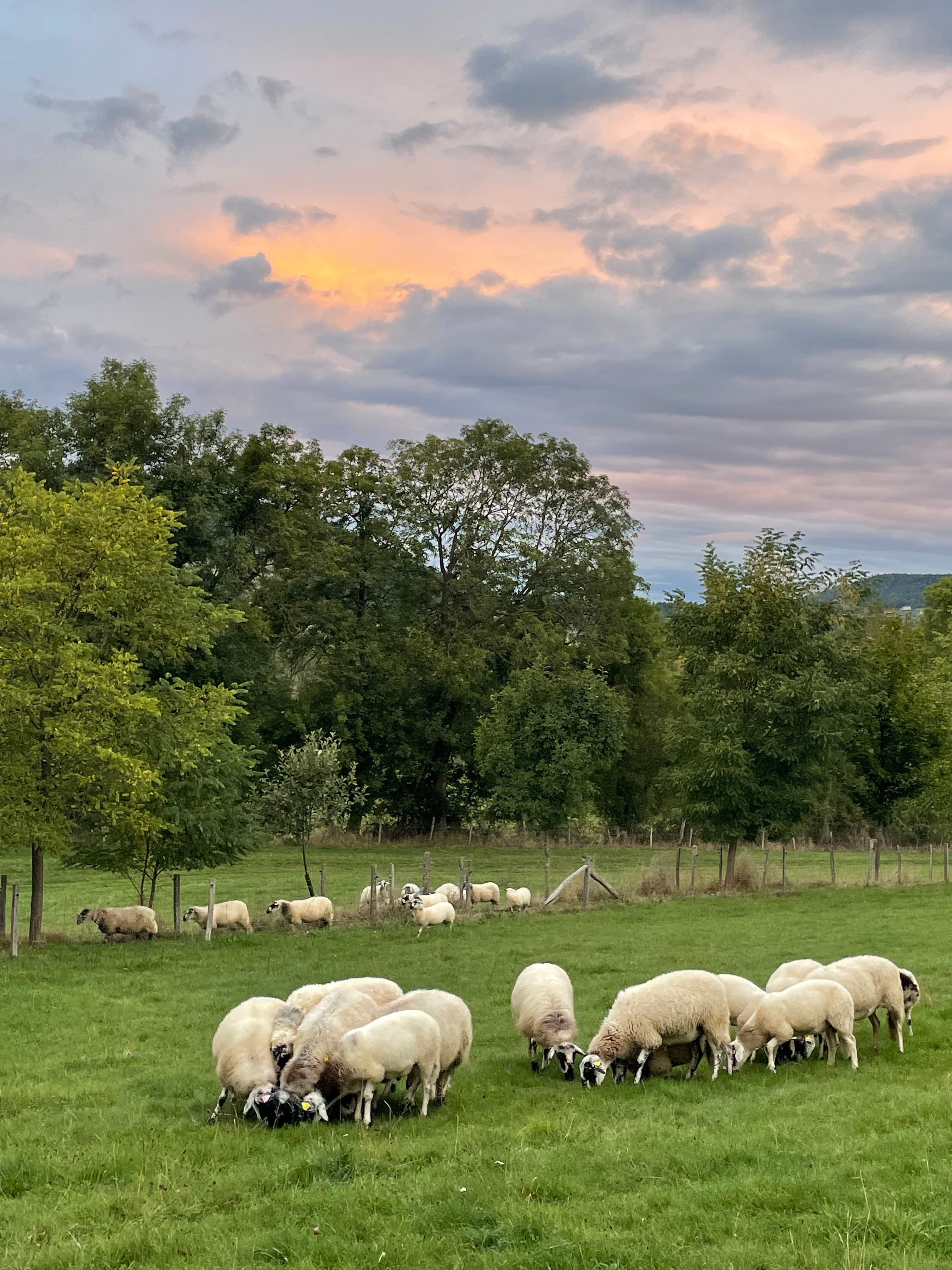 La Ferme