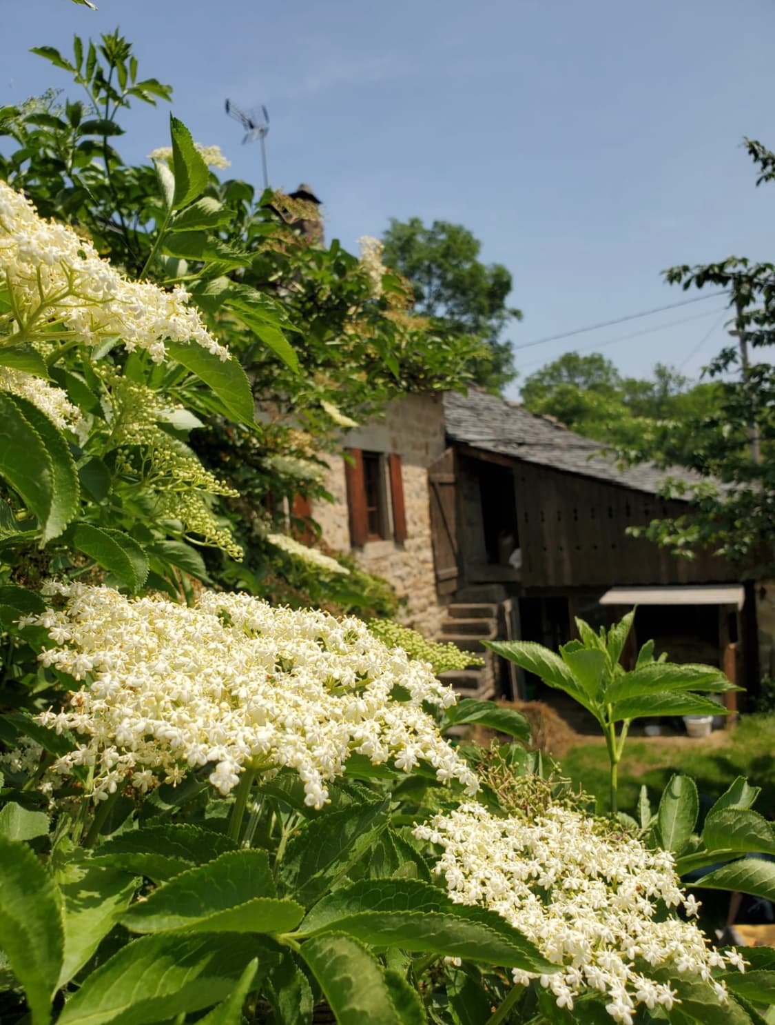 Le Gîte